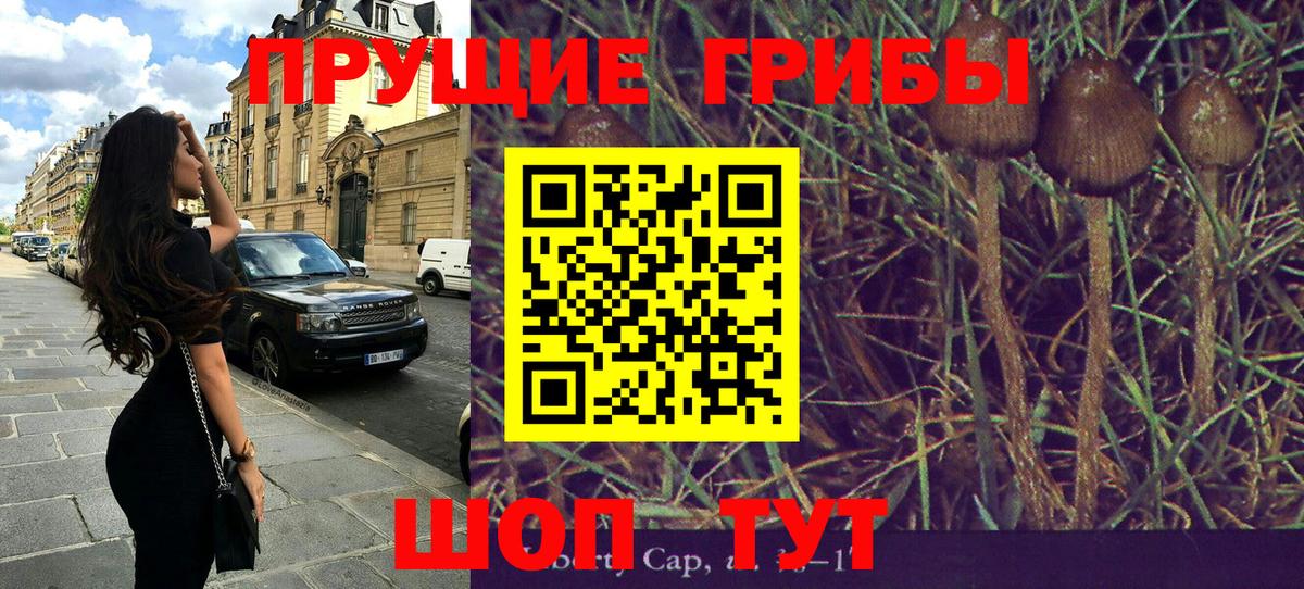 Псилоцибиновые грибы MAGIC MUSHROOMS Лениногорск