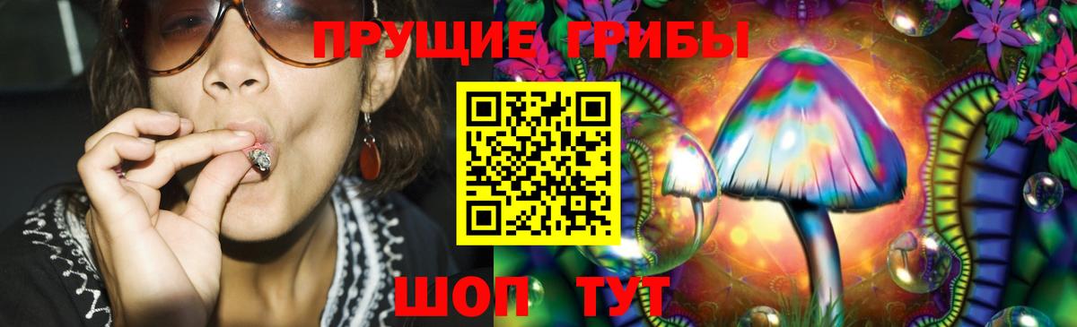 где продают   Галлюциногенные грибы мицелий  Вход с VPN  Лениногорск 